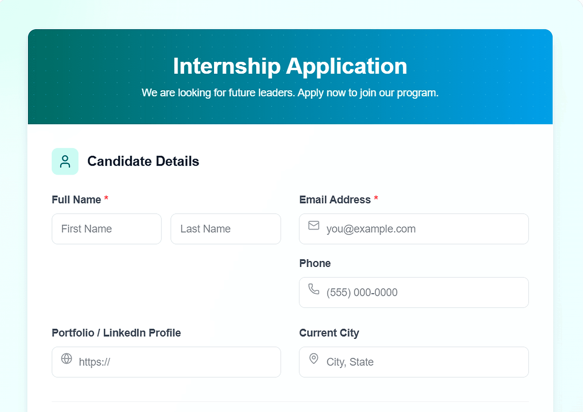 Internship Application Template